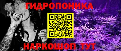 ALPHA PVP Заволжье